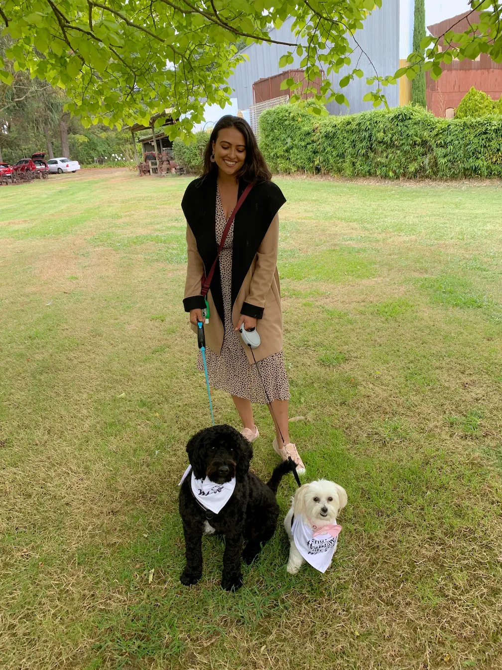 Rina chaperoning two dogs at an event